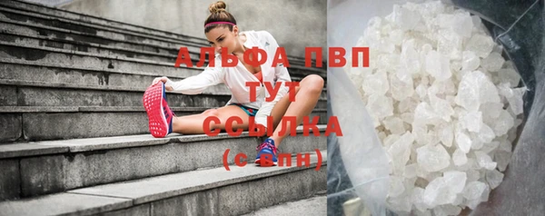 таблы Алзамай