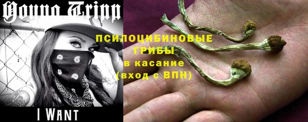 эйфоретик Ветлуга