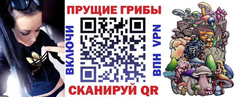 Галлюциногенные грибы Psilocybine cubensis Лаишево