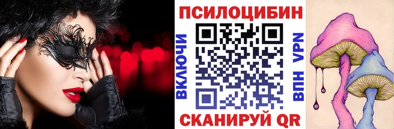Псилоцибиновые грибы Psilocybe  магазин продажи   Лаишево 